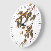 Audubons kohlensäurehaltiger Warbler-Vogel auf Die Große Wanduhr (Winkel)