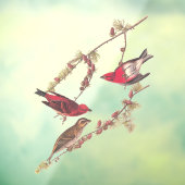 Audubons Lila Finch Drei Rote Vögel im Winter Fensteraufkleber (Blatt 3)