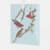 Audubons Lila Finch Drei Rote Vögel im Winter Ornament Aus Glas (Vorderseite links)