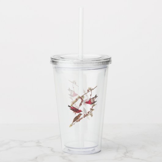 Audubons Lila Finch-Rote Vögel auf Conifer Tree Acryltrinkbecher (Vorderseite)