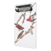 Audubons Lila Finch-Rote Vögel auf Conifer Tree Mini Klemmbrett (Gewinkelt2)