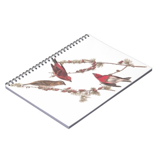 Audubons Lila Finch-Rote Vögel auf Conifer Tree Notizblock (Linke Seite)