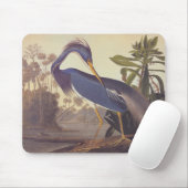 Audubon's Louisiana Heron oder Trikolore Heron Mousepad (Mit Mouse)
