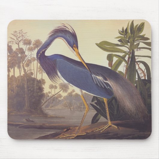 Audubon's Louisiana Heron oder Trikolore Heron Mousepad (Vorne)
