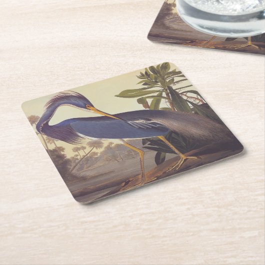 Audubon's Louisiana Heron oder Trikolore Heron Rechteckiger Pappuntersetzer (angewinkelt)