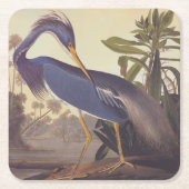Audubon's Louisiana Heron oder Trikolore Heron Rechteckiger Pappuntersetzer (Vorderseite)