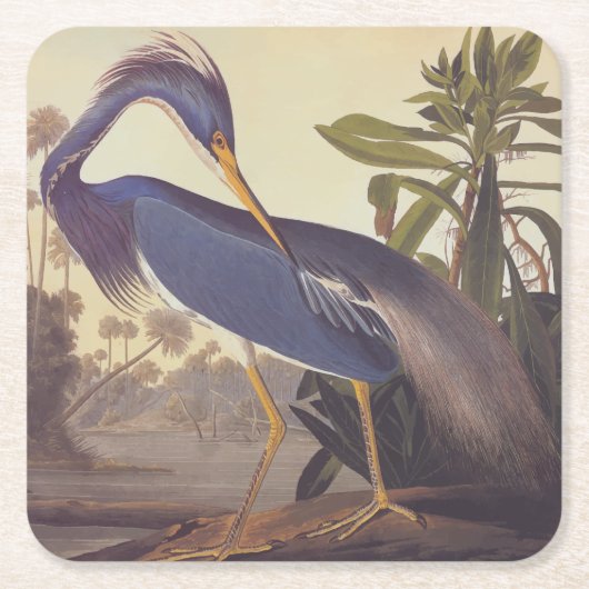 Audubon's Louisiana Heron oder Trikolore Heron Rechteckiger Pappuntersetzer (Vorderseite)