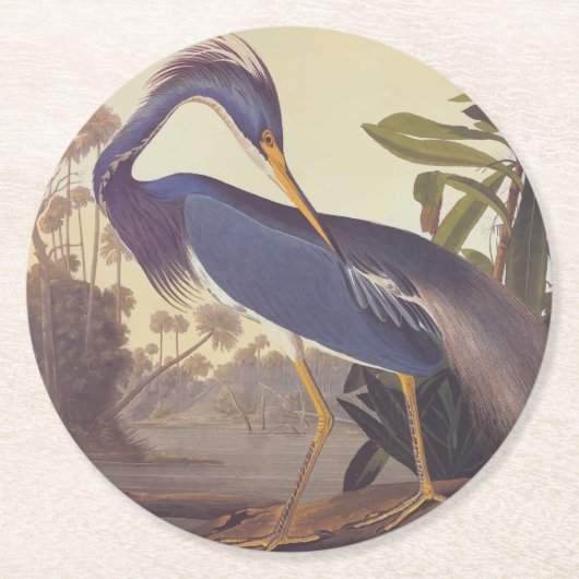 Audubon's Louisiana Heron oder Trikolore Heron Runder Pappuntersetzer (Vorderseite)