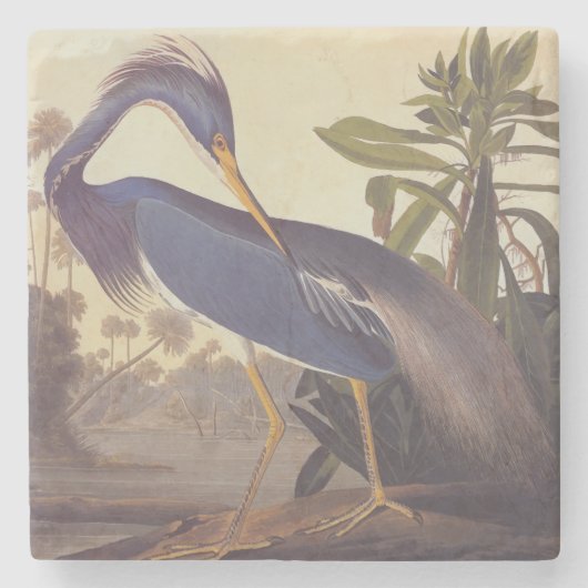 Audubon's Louisiana Heron oder Trikolore Heron Steinuntersetzer (Vorderseite)
