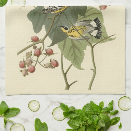 Audubons Magnolien-Trällerer Geschirrtuch (Gefaltet)