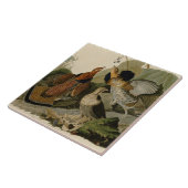 Audubons Malerei eines Trios Ruffed Waldhuhns Fliese (Seite)