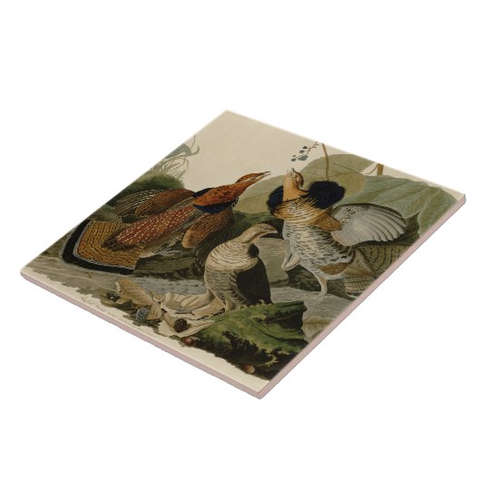Audubons Malerei eines Trios Ruffed Waldhuhns Fliese (Seite)