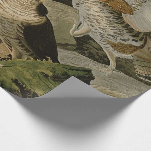 Audubons Malerei eines Trios Ruffed Waldhuhns Geschenkpapier (Ecke)
