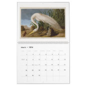Audubon's Marsh and Shore Birds 2026 Kalender (Mär 2026)