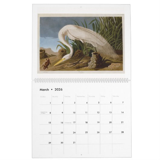 Audubon's Marsh and Shore Birds 2026 Kalender (Mär 2026)