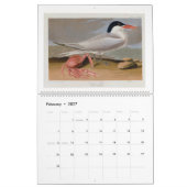 Audubon's Marsh and Shore Birds 2026 Kalender (Feb 2027)