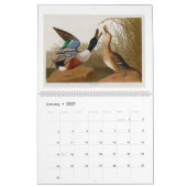 Audubon's Marsh and Shore Birds 2026 Kalender (Jan 2027)