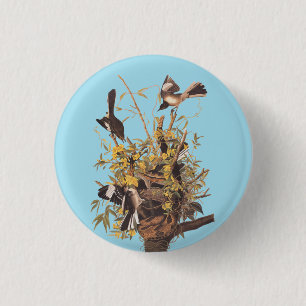 Audubon's Mockingbirds vs Rattlesnake Button