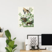 Audubons morgendliche Dove Carolina Taubenmalerei Poster (Heimbüro)