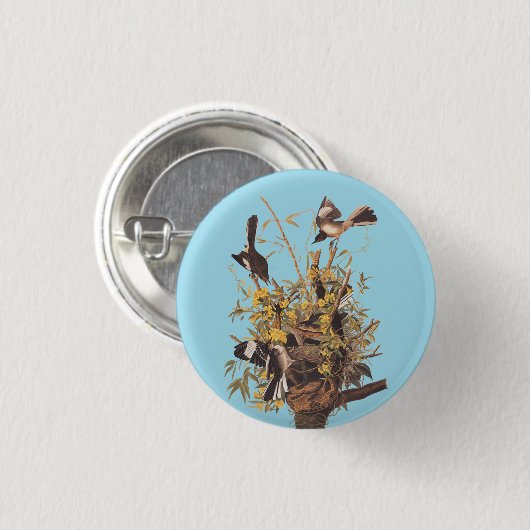 Audubons Morgenvögel gegen Rattlesnake Button (Vorne & Hinten)
