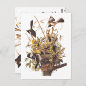 Audubons Morgenvögel gegen Rattlesnake Postkarte (Vorne/Hinten)