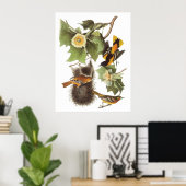 Audubons nördliche Oriole Poster (Heimbüro)