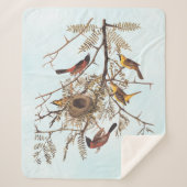 Audubons Orchard Oriole Birds in einer Honey Locus Sherpadecke (Vorderseite)