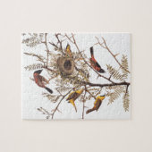 Audubons Orchard Oriole Birds in Honey Locust Puzzle (Horizontal)