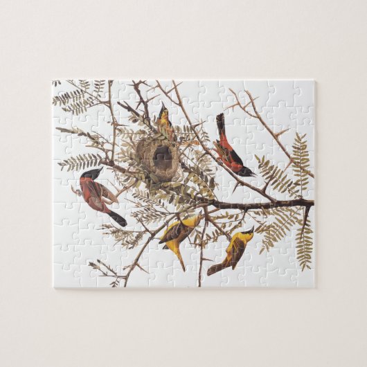 Audubons Orchard Oriole Birds in Honey Locust Puzzle (Horizontal)