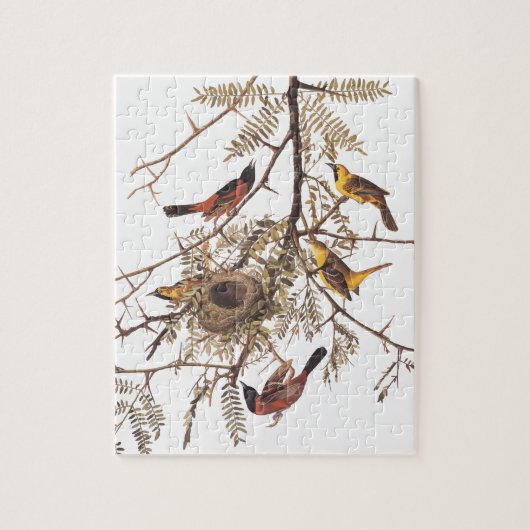 Audubons Orchard Oriole Birds in Honey Locust Puzzle (Vertikal)