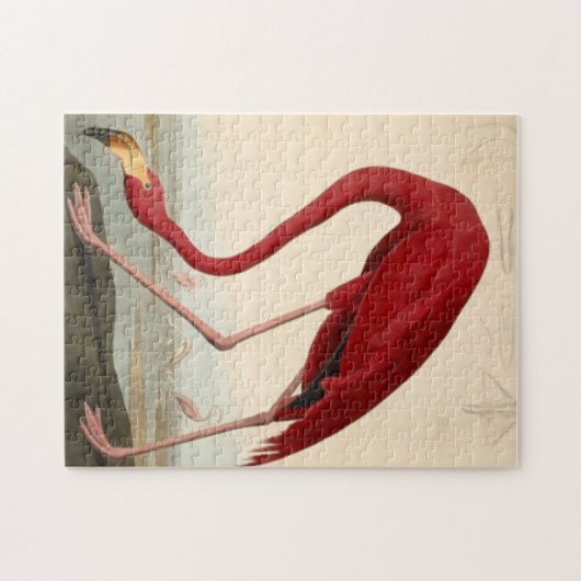 Audubons Red Flamingo Jigsaw Puzzle (Horizontal)