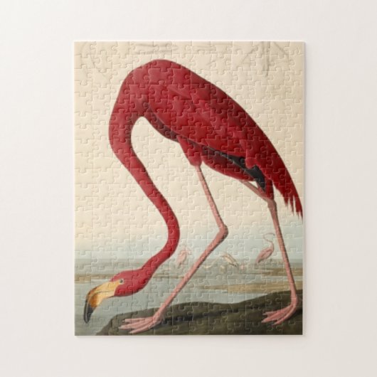 Audubons Red Flamingo Jigsaw Puzzle (Vertikal)
