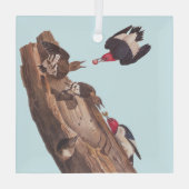 Audubons Red-Headed-Woodpecker-Familie in Log Ornament Aus Glas (Rückseite)
