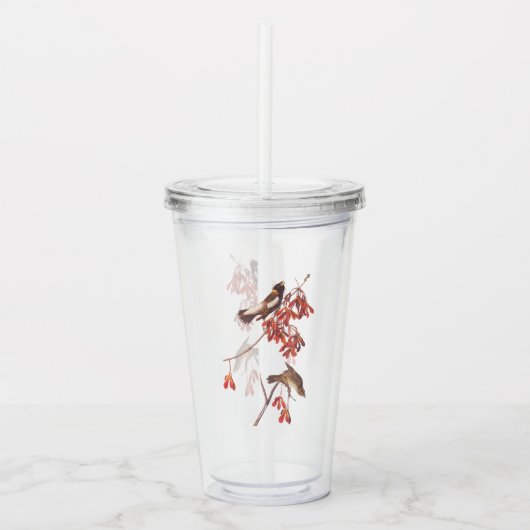 Audubon's Rice Bunting Birds oder Bobolink Birds Acryltrinkbecher (Vorderseite)