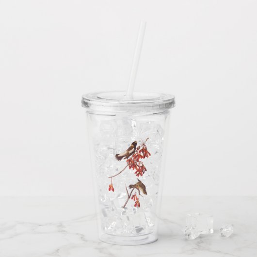 Audubon's Rice Bunting Birds oder Bobolink Birds Acryltrinkbecher (Rückseite Ice)