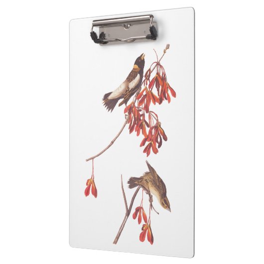 Audubon's Rice Bunting Birds oder Bobolink Birds Klemmbrett (Links)