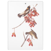 Audubon's Rice Bunting Birds oder Bobolink Birds Klemmbrett (Rückseite)