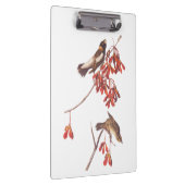 Audubon's Rice Bunting Birds oder Bobolink Birds Klemmbrett (Rechts)