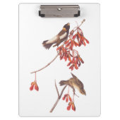Audubon's Rice Bunting Birds oder Bobolink Birds Klemmbrett (Vorderseite)
