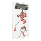 Audubon's Rice Bunting Birds oder Bobolink Birds Mini Klemmbrett (Schrägansicht)