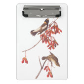Audubon's Rice Bunting Birds oder Bobolink Birds Mini Klemmbrett (Vorderseite)
