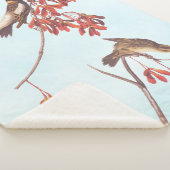 Audubon's Rice Bunting Birds oder Bobolink Birds Sherpadecke (3/4)