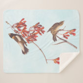 Audubon's Rice Bunting Birds oder Bobolink Birds Sherpadecke (Vorderseite (Horizontal))