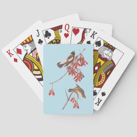 Audubon's Rice Bunting Birds oder Bobolink Birds Spielkarten (Rückseite)