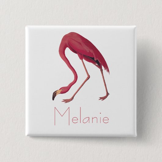 Audubons rosa Flamingo Vintage Vögel Amerikas Button (Vorderseite)