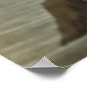 Audubons rotes Flamingo-Poster Poster (Ecke)