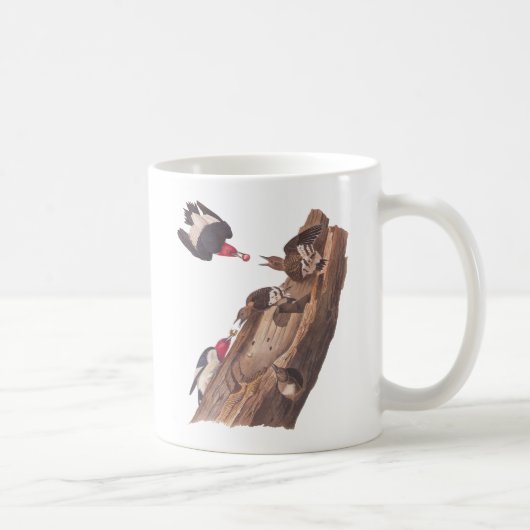 Audubons Rotkopfspechte Kaffeetasse (Rechts)