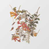 Audubon's Ruby Throated Hummingbirds and Blume Fensteraufkleber (Blatt)