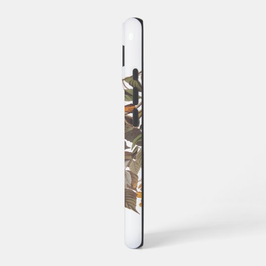 Audubon's Ruby Throated Hummingbirds and Blume iPhone 16 Hülle (Linke Seite)