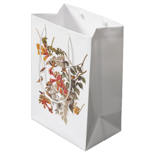 Audubon's Ruby Throated Hummingbirds and Blume Mittlere Geschenktüte (Rückseite Schrägansicht)